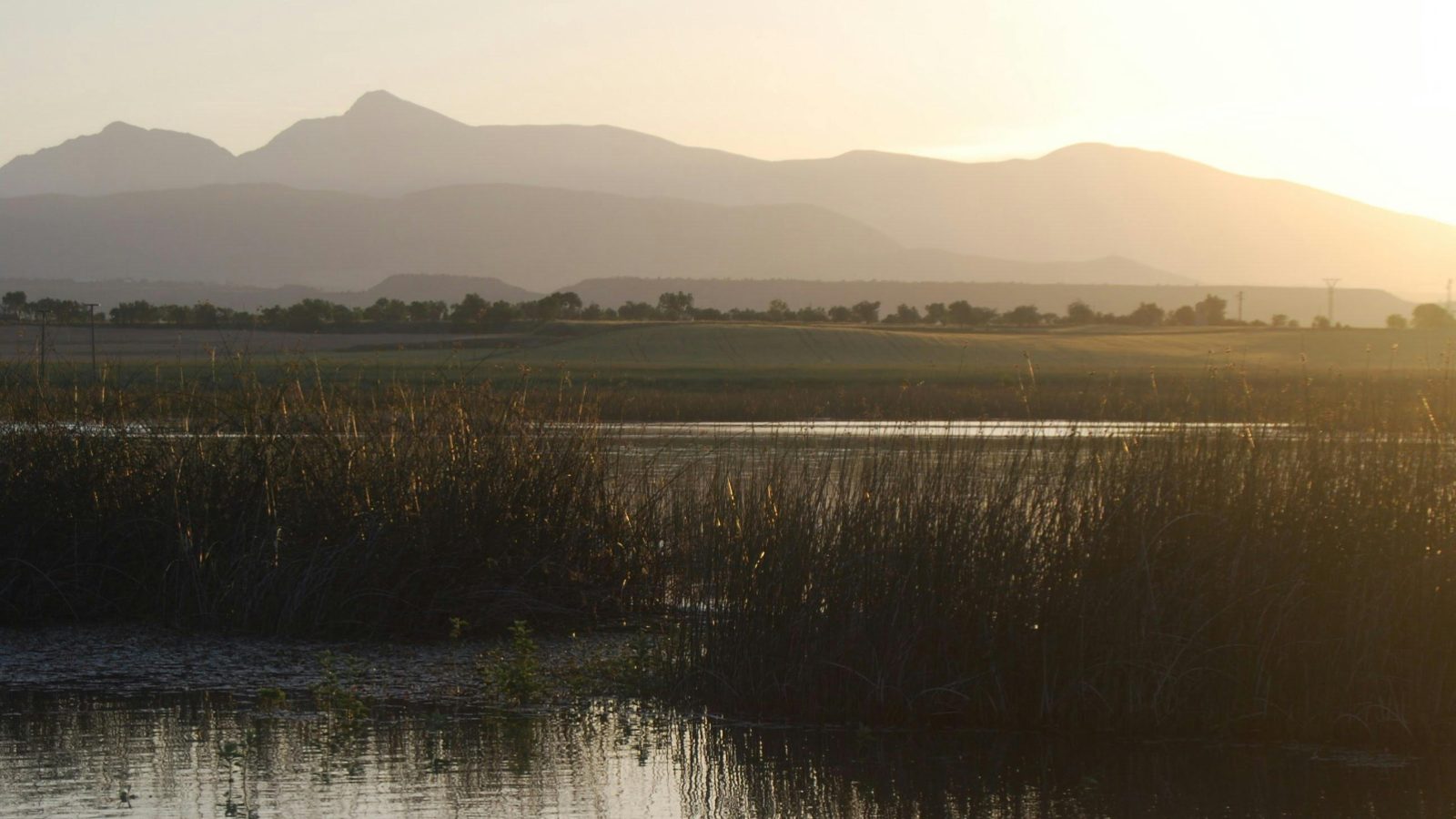 Lathrop scenery