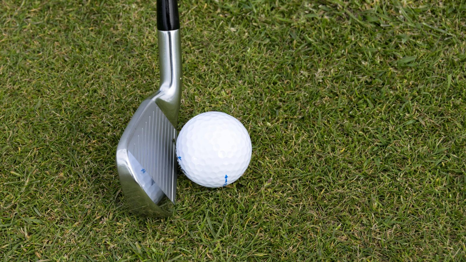Golfing in Lathrop