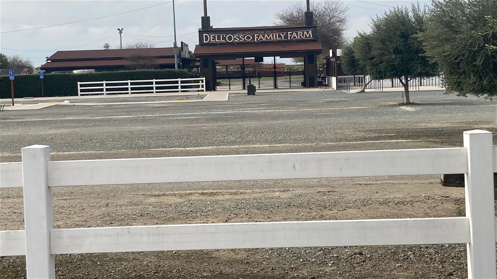 Dell Osso Family Farm