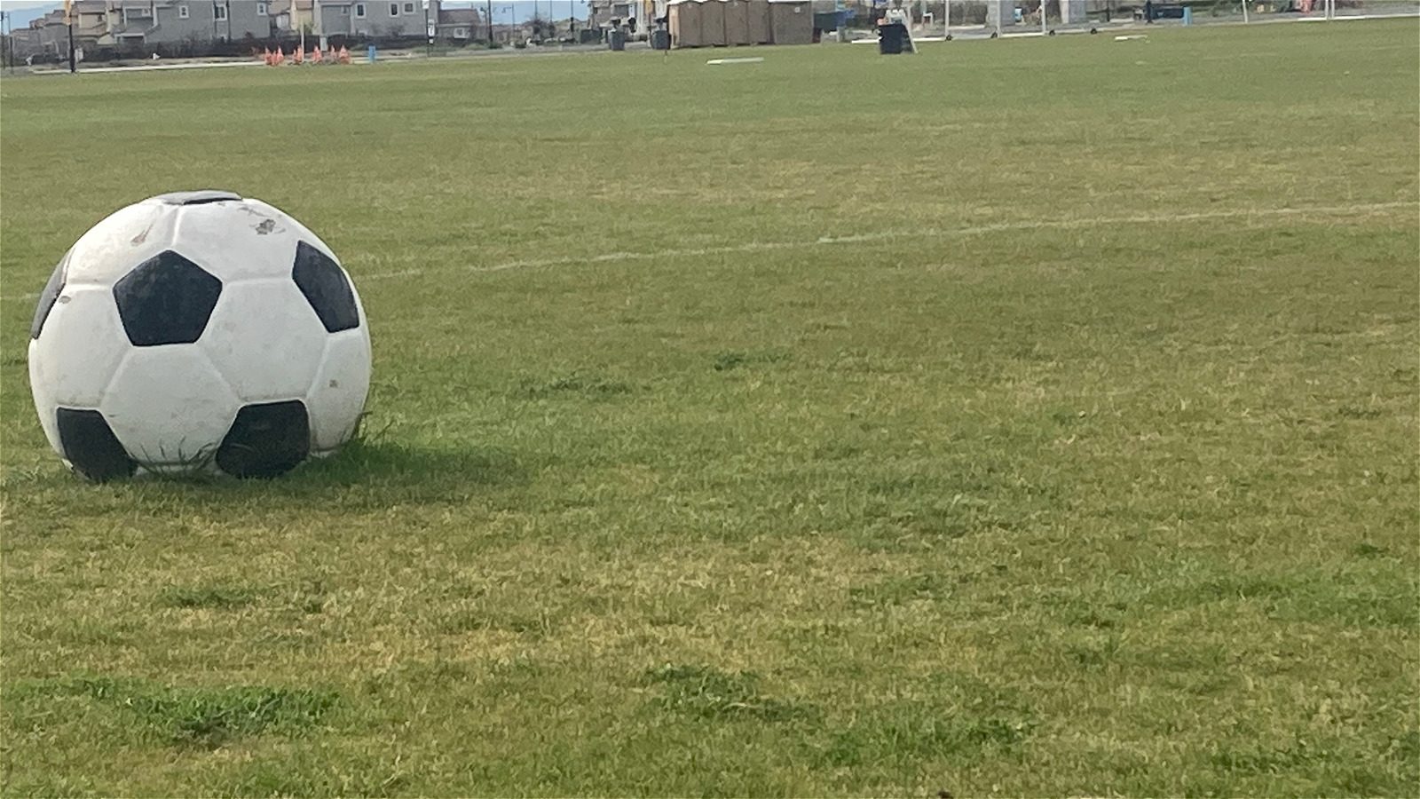 Soccer ball on green field